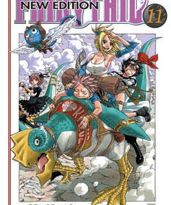 Fairy Tail New Edition 11
