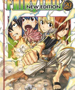 Fairy Tail New Edition 29