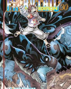 Fairy Tail New Edition 30