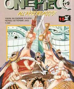 One Piece 15