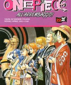 One Piece 22