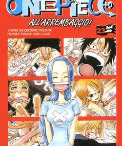 One Piece 23