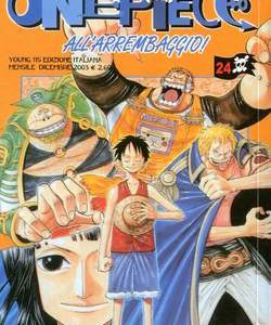 One Piece 24