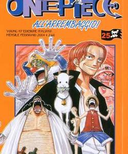 One Piece 25