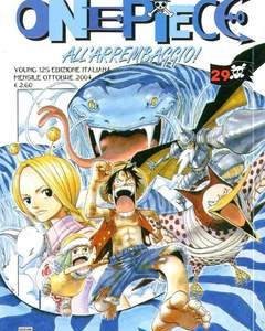 One Piece 29