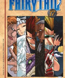 Fairy Tail 17