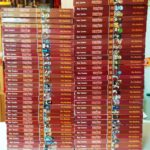 fairy tail 1-63 serie completa