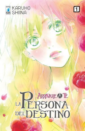 Arrivare a te - La persona del destino 1 - immagine 1