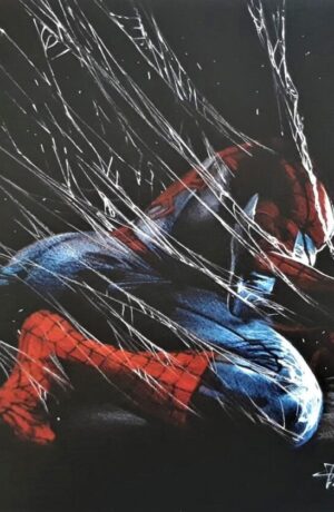 Litografia Spider-Man by Gabriele Dell'Otto