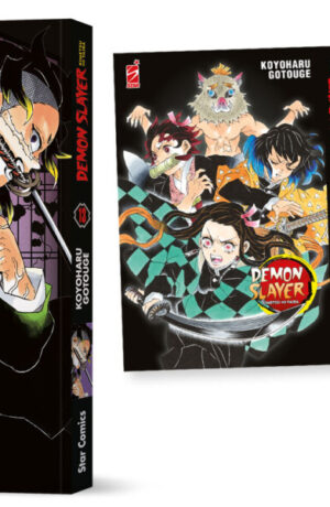 Demon Slayer 13 - STAR DAYS