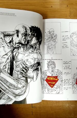 DC Comics: The Art of Lee Bermejo - immagine 4