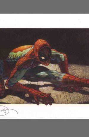 Simone Bianchi - The Amazing Spider-Man - Limited Edition Lytho