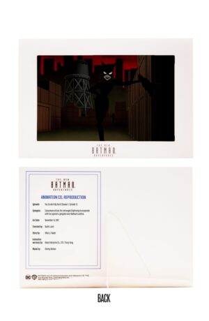 DC Direct The New Batman Adventures: Catwoman - immagine 7