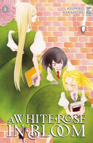 A White Rose In Bloom 3
